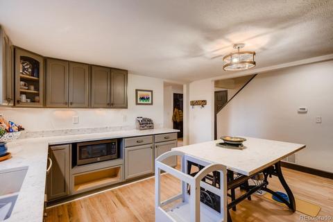 1172 Mount Evans Blvd, Pine, CO 80470 photo 12