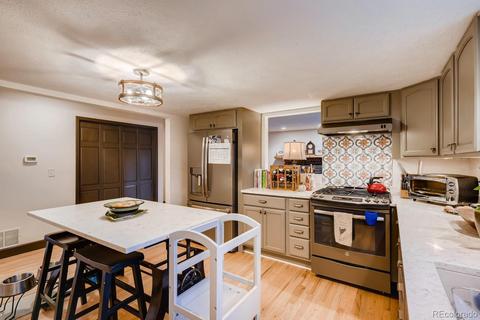 1172 Mount Evans Blvd, Pine, CO 80470 photo 11