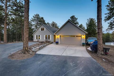 1172 Mount Evans Blvd, Pine, CO 80470 photo 3