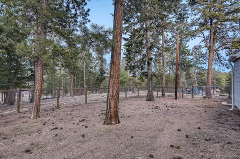 1172 Mount Evans Blvd, Pine, CO 80470 photo 36