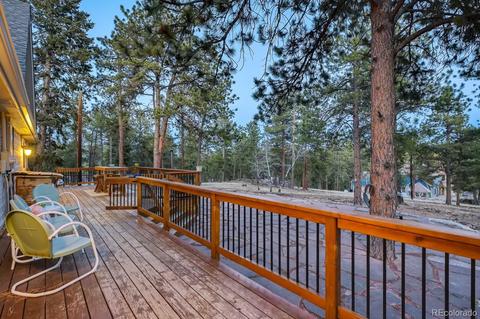 1172 Mount Evans Blvd, Pine, CO 80470 photo 28
