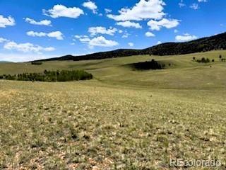 25 Sulky Ct, Hartsel, CO 80449