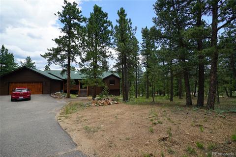 43 Two Bits St, Bailey, CO 80421 photo 33