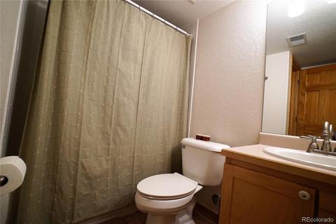 43 Two Bits St, Bailey, CO 80421 photo 23