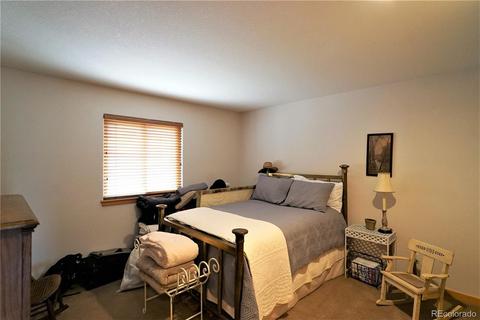 43 Two Bits St, Bailey, CO 80421 photo 15
