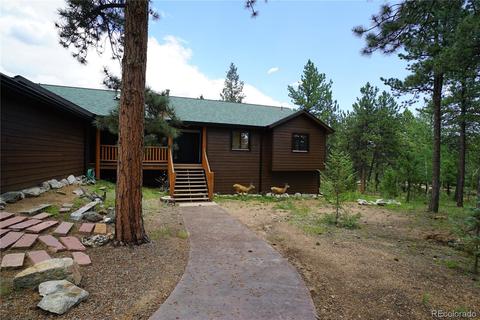 43 Two Bits St, Bailey, CO 80421 photo 1