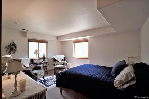 43 Two Bits St, Bailey, CO 80421 photo 26