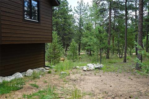 43 Two Bits St, Bailey, CO 80421 photo 31