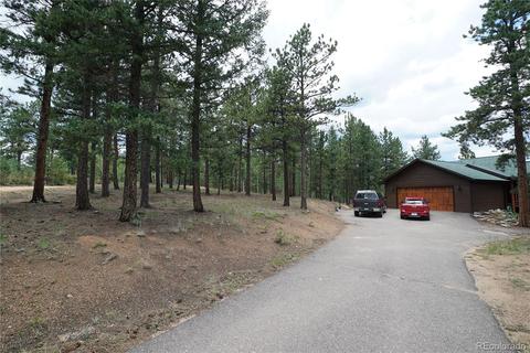 43 Two Bits St, Bailey, CO 80421 photo 34