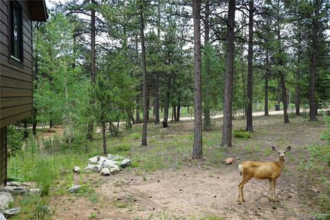 43 Two Bits St, Bailey, CO 80421 photo 32