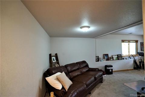 43 Two Bits St, Bailey, CO 80421 photo 24