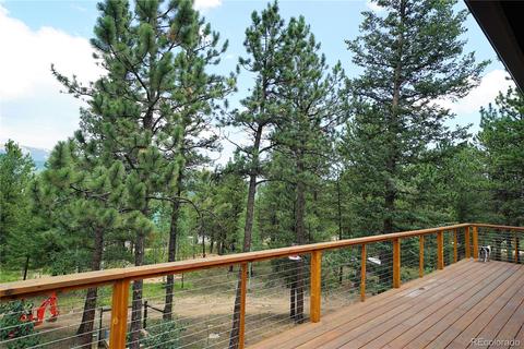 43 Two Bits St, Bailey, CO 80421 photo 18