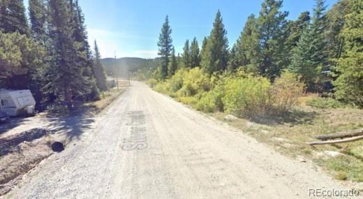 47 Silver Creek Road, Idaho Springs, CO 80452