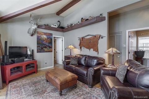 206 E Dory Dr, Black Hawk, CO 80422 photo 9