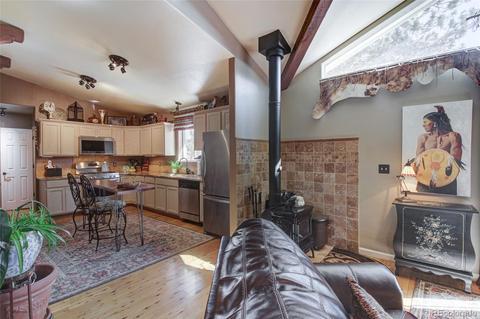 206 E Dory Dr, Black Hawk, CO 80422 photo 10