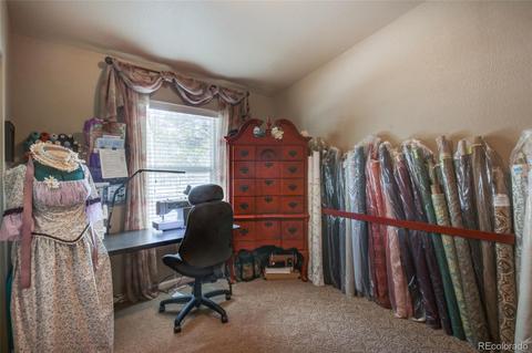 206 E Dory Dr, Black Hawk, CO 80422 photo 15