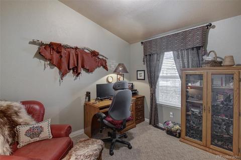 206 E Dory Dr, Black Hawk, CO 80422 photo 19