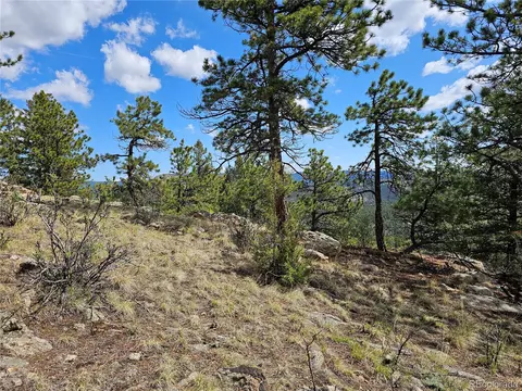 000 Dick Mountain Dr, Bailey, CO 80421 photo 4
