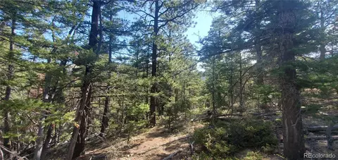 lot5273 Vivian Rd, Fort Garland, CO 81133