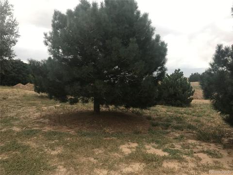 21151 E 9th Pl, Aurora, CO 80018 photo 7