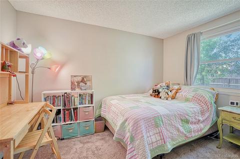 163 Madison Dr, Bennett, CO 80102 photo 13