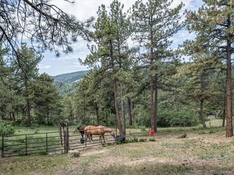 74 W Ranch Trl, Morrison, CO 80465 photo 38