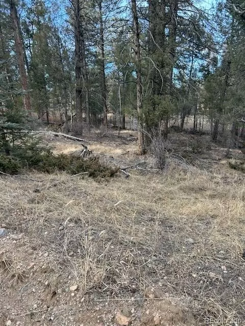 12887 S Cindy Ave, Pine, CO 80470