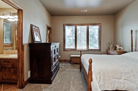 649 Ruby Trust Dr, Castle Rock, CO 80108 photo 24