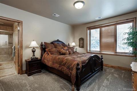 649 Ruby Trust Dr, Castle Rock, CO 80108 photo 28