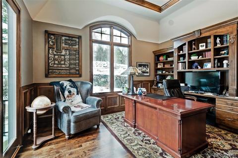 649 Ruby Trust Dr, Castle Rock, CO 80108 photo 16