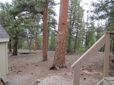 509 Lantern Loop, Hartsel, CO 80449 photo 5
