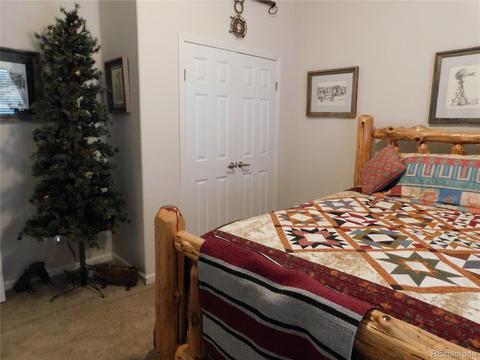1325 G Path, Cotopaxi, CO 81223 photo 30