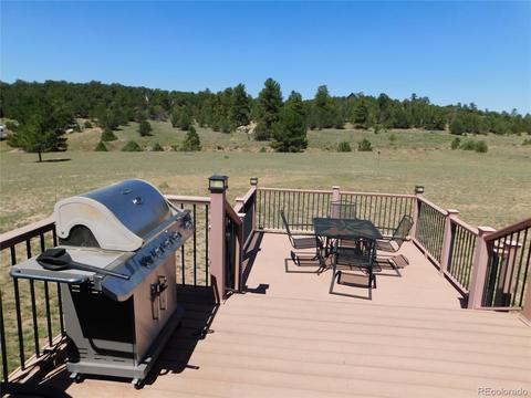 1325 G Path, Cotopaxi, CO 81223 photo 4