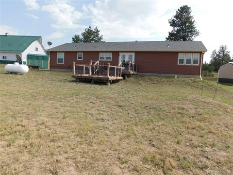 1325 G Path, Cotopaxi, CO 81223 photo 9