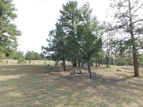 1325 G Path, Cotopaxi, CO 81223 photo 10