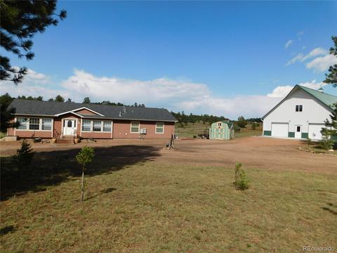 1325 G Path, Cotopaxi, CO 81223 photo 1