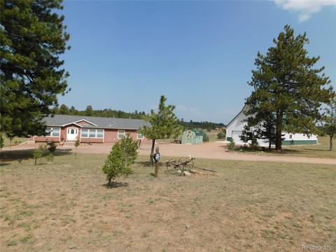 1325 G Path, Cotopaxi, CO 81223 photo 2