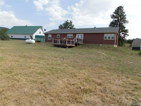 1325 G Path, Cotopaxi, CO 81223 photo 8