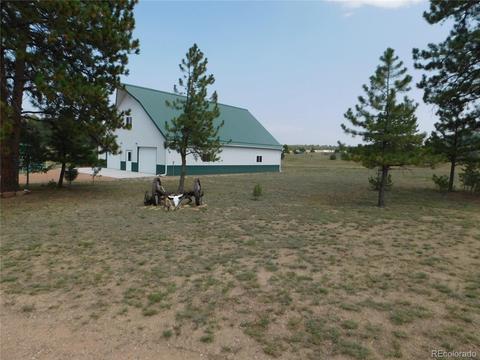 1325 G Path, Cotopaxi, CO 81223 photo 6