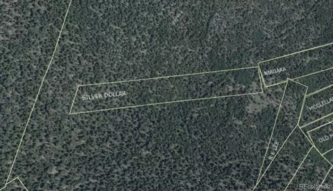 000 Silver Dollar Lode, Georgetown, CO 80444