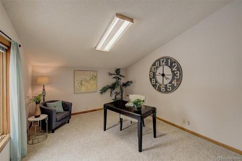5843 Willowbrook Dr, Morrison, CO 80465 photo 27