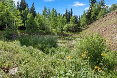 S Meadow Road, Cuchara, CO 81055