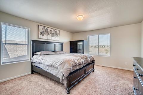 4687 E 95th Dr, Thornton, CO 80229 photo 16