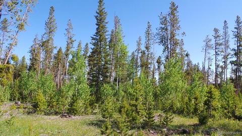 98 Moose Run Ct, Fraser, CO 80442 photo 12