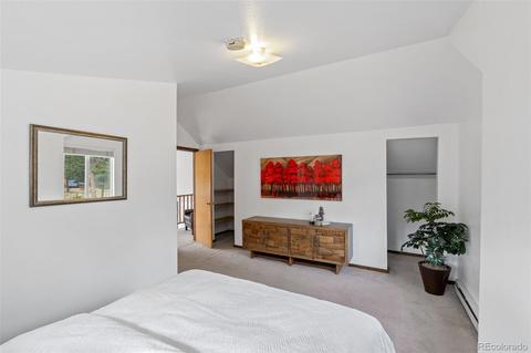 149 Twilight Terrace Dr, Bailey, CO 80421 photo 27