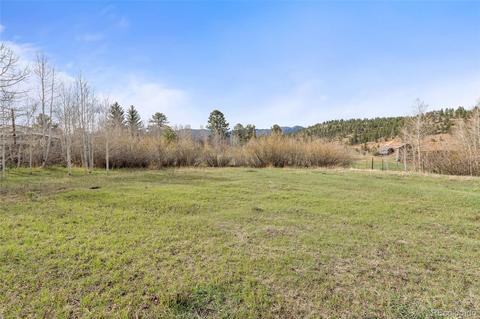 149 Twilight Terrace Dr, Bailey, CO 80421 photo 12
