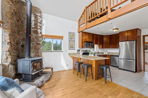 149 Twilight Terrace Dr, Bailey, CO 80421 photo 21