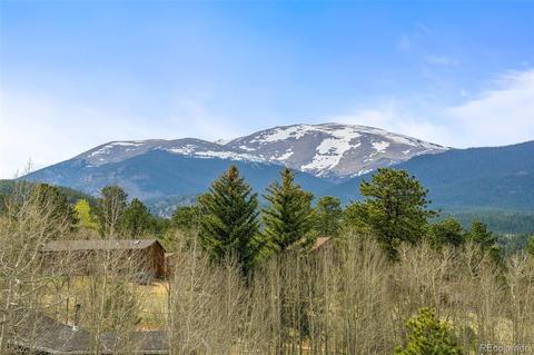 149 Twilight Terrace Dr, Bailey, CO 80421 photo 19