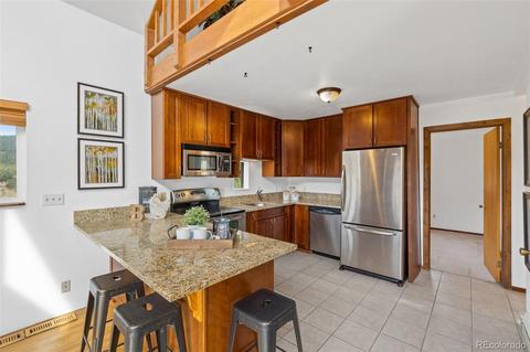 149 Twilight Terrace Dr, Bailey, CO 80421 photo 5
