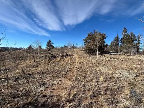 29 Strelets Way, Como, CO 80432 photo 19